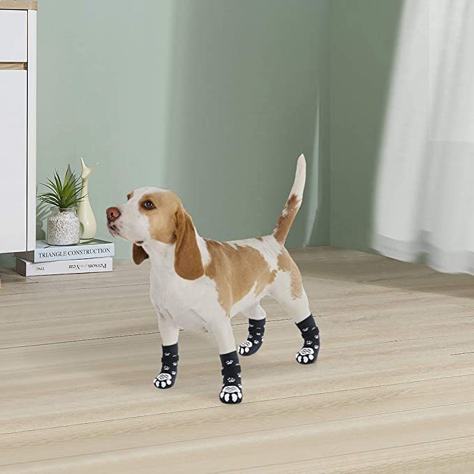 Calcetines Perrunos (Set 4 Piezas)